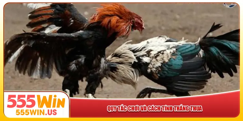 Quy tắc chơi và cách tính thắng thua Quy tắc chơi và cách tính thắng thua